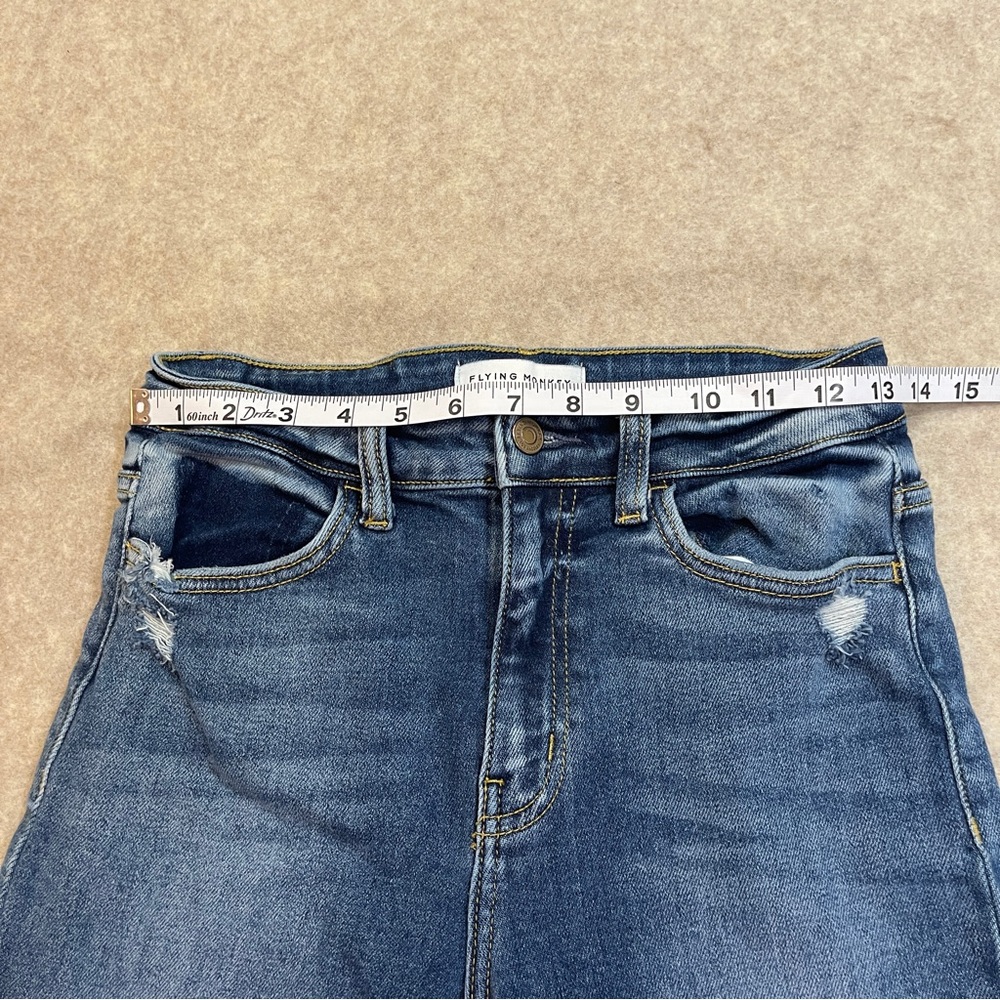 Flying Monkey - Picture 11 of 13